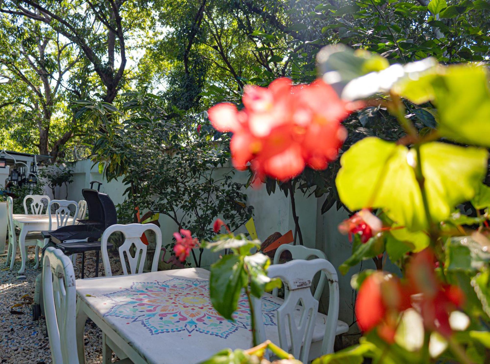 Toro Blanco Aparthotel Coco Ngoại thất bức ảnh